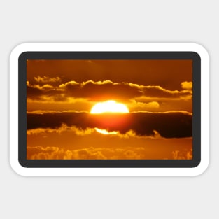 Golden Sunset Photography Sticker